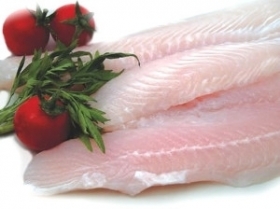 FILETTI DI CERNIA INDOPACIFICA                           €10,99AL KG - Surgelati Apicella
