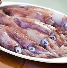 CALAMARI SPORCHI INDOPACIFICI                    €7,95 AL KG - Surgelati Apicella