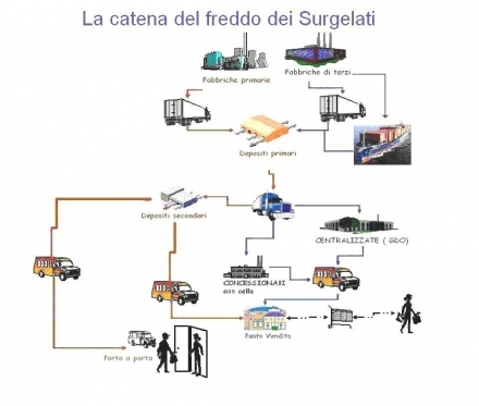 Differenza tra surgelato e congelato - Surgelati Apicella